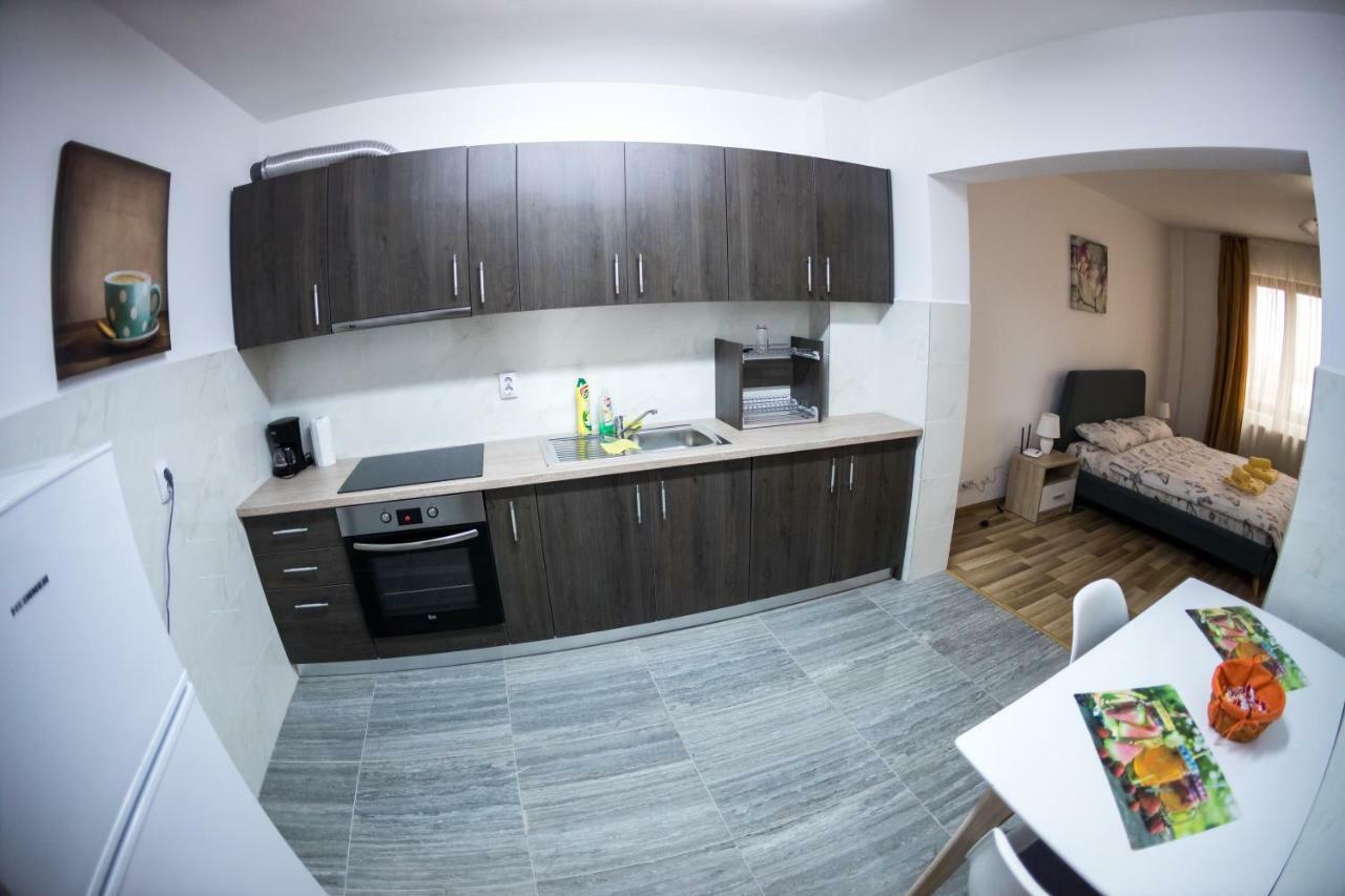 Târgu-Mureş Travel Homzzz Apartments מראה חיצוני תמונה